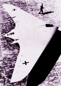 Ho-229 - летающее крыло братьев Хортен